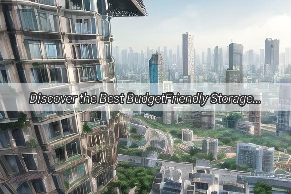 Discover the Best BudgetFriendly Storage Solutions in Guangzhou A Comprehensive Guide